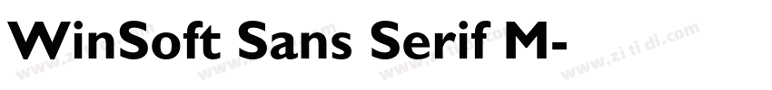 WinSoft Sans Serif M字体转换